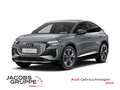 Audi Q4 e-tron Grau - thumbnail 1