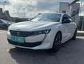 Peugeot 508 Allure Weiß - thumbnail 1