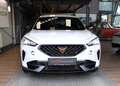 CUPRA Formentor 2,0 TDI 4Drive Weiß - thumbnail 2