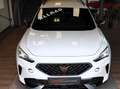 CUPRA Formentor 2,0 TDI 4Drive Weiß - thumbnail 22