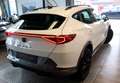 CUPRA Formentor 2,0 TDI 4Drive Weiß - thumbnail 7