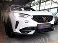 CUPRA Formentor 2,0 TDI 4Drive Weiß - thumbnail 3