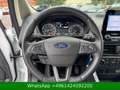 Ford EcoSport Cool & Connect Blanco - thumbnail 14