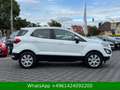Ford EcoSport Cool & Connect Blanco - thumbnail 7