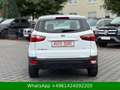 Ford EcoSport Cool & Connect Blanco - thumbnail 5
