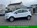 Ford EcoSport Cool & Connect Blanco - thumbnail 3