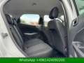 Ford EcoSport Cool & Connect Blanco - thumbnail 22