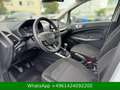 Ford EcoSport Cool & Connect Blanco - thumbnail 12