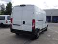Citroen Jumper (Stock ID 65109) Weiß - thumbnail 12