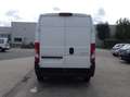 Citroen Jumper (Stock ID 65109) Weiß - thumbnail 6