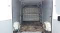 Citroen Jumper (Stock ID 65109) Weiß - thumbnail 11
