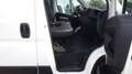 Citroen Jumper (Stock ID 65109) Weiß - thumbnail 16