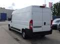 Citroen Jumper (Stock ID 65109) Weiß - thumbnail 5