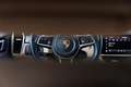 Porsche Cayenne 3.0 E-Hybrid Platinum Edition Blauw - thumbnail 24