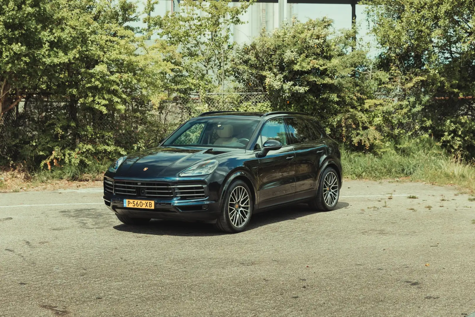 Porsche Cayenne 3.0 E-Hybrid Platinum Edition Blauw - 2