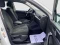 Volkswagen Tiguan 1.5 TSI 150 CV DSG ACT Elegance Bianco - thumbnail 15