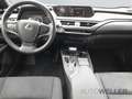 Lexus UX 250h Style Edition *Kamera*SmartKey*Bi-Led* Schwarz - thumbnail 9