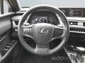 Lexus UX 250h Style Edition *Kamera*SmartKey*Bi-Led* Schwarz - thumbnail 10