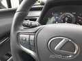 Lexus UX 250h Style Edition *Kamera*SmartKey*Bi-Led* Schwarz - thumbnail 21