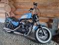 Harley-Davidson Sportster Forty Eight Blue - thumbnail 8