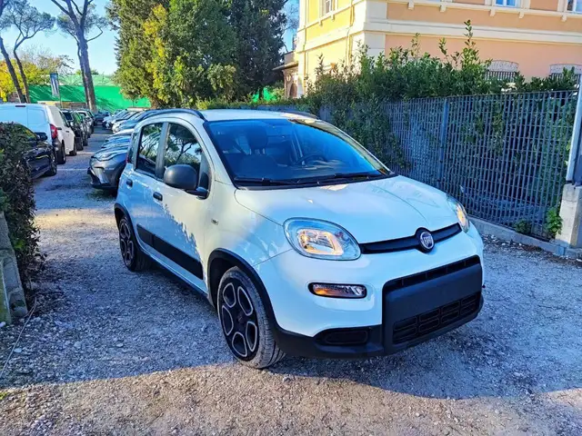 Fiat Panda view 2