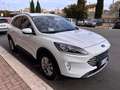 Ford Kuga Kuga 2.0 ecoblue 2wd 120cv auto Titanium Business Bianco - thumbnail 1