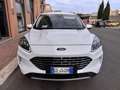 Ford Kuga Kuga 2.0 ecoblue 2wd 120cv auto Titanium Business Bianco - thumbnail 2