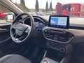Ford Kuga Kuga 2.0 ecoblue 2wd 120cv auto Titanium Business Bianco - thumbnail 7