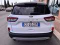 Ford Kuga Kuga 2.0 ecoblue 2wd 120cv auto Titanium Business Bianco - thumbnail 5