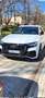 Audi Q8 50 TDI MHEV 286 S Line quattro 5p tip - thumbnail 1