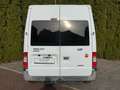 Ford Transit FT 300 KLIMA+TEMPO+3SITZER+MFL+TÜV+AHK Weiß - thumbnail 6