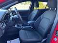 Ford Focus Wagon 1.0 EcoBoost ST Line Business NL.Auto/Trekha Rot - thumbnail 19