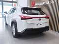Lexus UX 250h Business Navigation 4WD Fehér - thumbnail 9