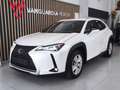 Lexus UX 250h Business Navigation 4WD Weiß - thumbnail 7