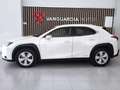 Lexus UX 250h Business Navigation 4WD Weiß - thumbnail 3