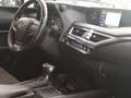 Lexus UX 250h Business Navigation 4WD Blanco - thumbnail 17
