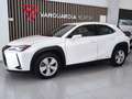 Lexus UX 250h Business Navigation 4WD Weiß - thumbnail 6