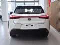 Lexus UX 250h Business Navigation 4WD Weiß - thumbnail 11