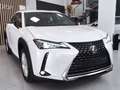 Lexus UX 250h Business Navigation 4WD Weiß - thumbnail 2