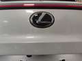 Lexus UX 250h Business Navigation 4WD Blanco - thumbnail 23