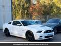 Ford Mustang Pack Shelby V8 Tout compris hors homologation 4500e Blanc - thumbnail 18