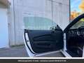 Ford Mustang Pack Shelby V8 Tout compris hors homologation 4500e Blanc - thumbnail 30