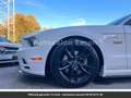Ford Mustang Pack Shelby V8 Tout compris hors homologation 4500e Blanc - thumbnail 11