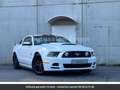 Ford Mustang Pack Shelby V8 Tout compris hors homologation 4500e Blanc - thumbnail 16