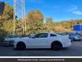 Ford Mustang Pack Shelby V8 Tout compris hors homologation 4500e Blanc - thumbnail 15