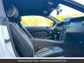 Ford Mustang Pack Shelby V8 Tout compris hors homologation 4500e Blanc - thumbnail 8