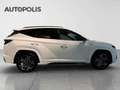 Hyundai TUCSON SHINE N-LINE SENSATION Blanc - thumbnail 15