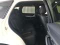 Mazda CX-60 CX-60 e-SKYACTIV-D 254 M HYBRID AWD HOMURA COSO Blanco - thumbnail 10