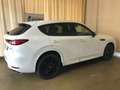 Mazda CX-60 CX-60 e-SKYACTIV-D 254 M HYBRID AWD HOMURA COSO Blanco - thumbnail 6