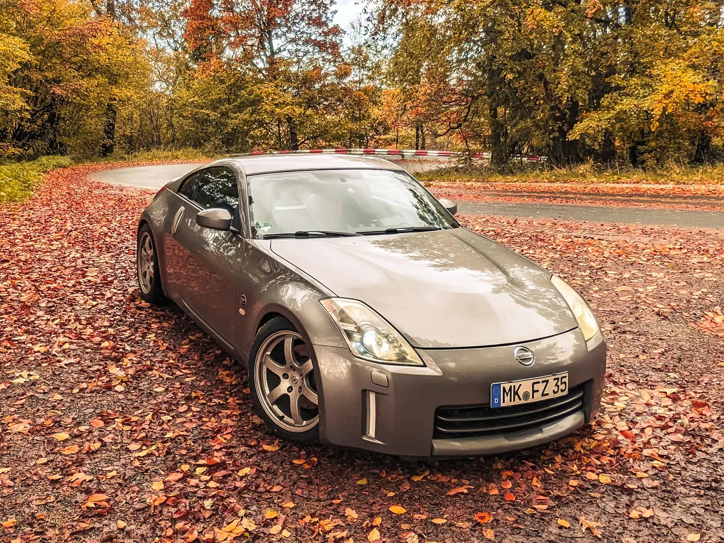 Nissan 350Z 350Z Coupé VQ35HR 340 PS Invidia V1 BilsteinB16 Grau - 1